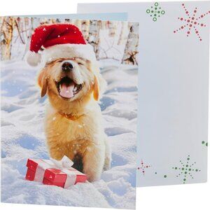 NWT Avanti Press Christmas Santa Pack of 20 Christmas Cards & Holiday Envelopes